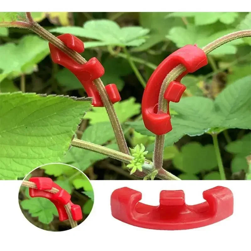 10-100 قطعة من أدوات تقويم الن - مراجعة Gardening Tools Lowes وسعره