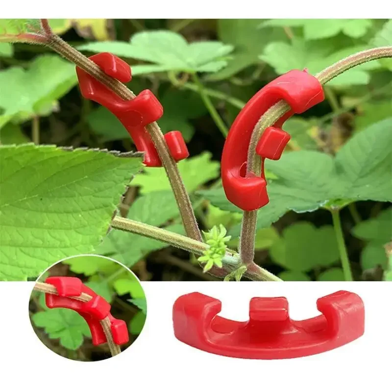 10-100 قطعة من مشابك ثني النبا - مراجعة Gardening Tools Lowes وسعره