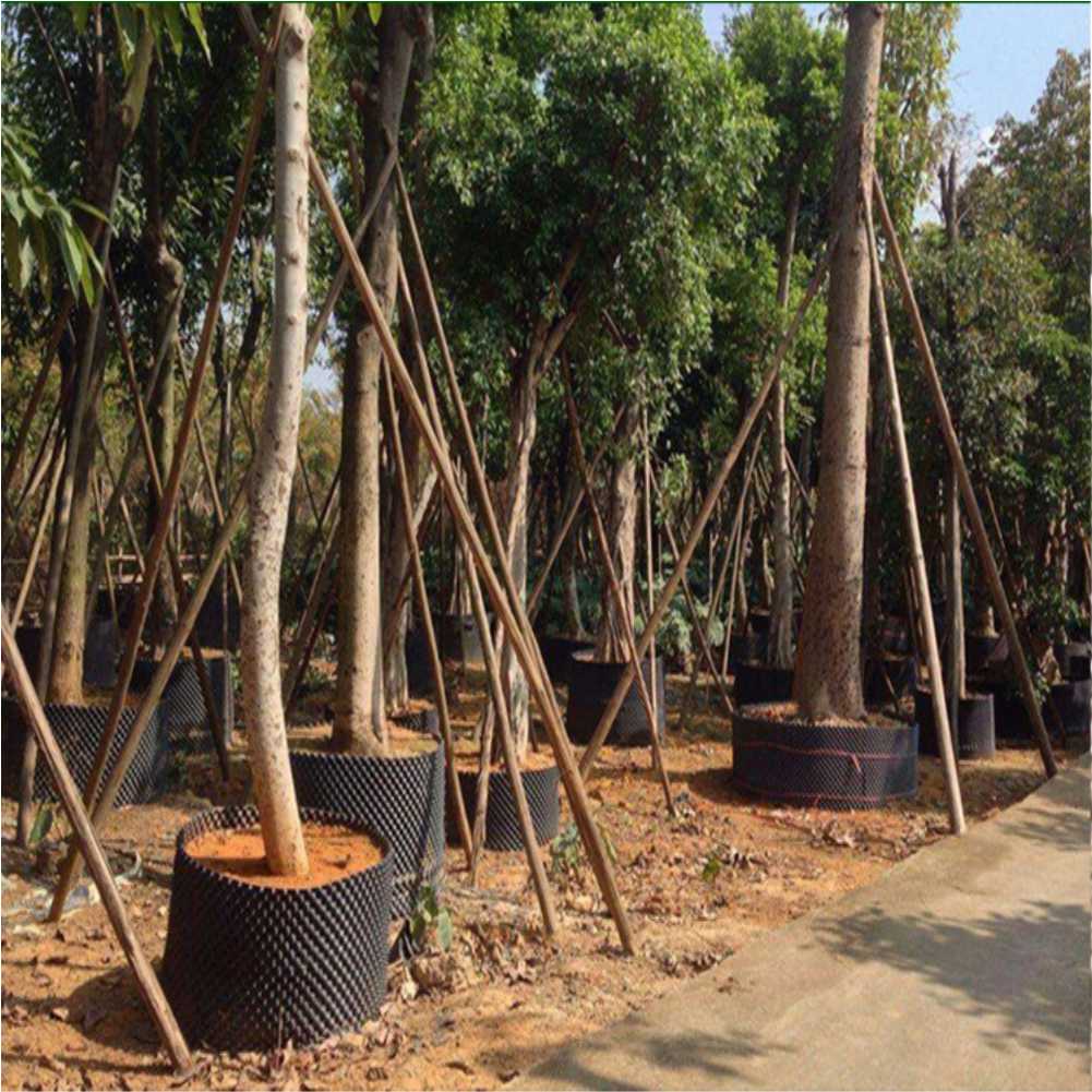أداة زراعة وتحويل نباتات البون - مراجعة Gardening Tools Of وسعره