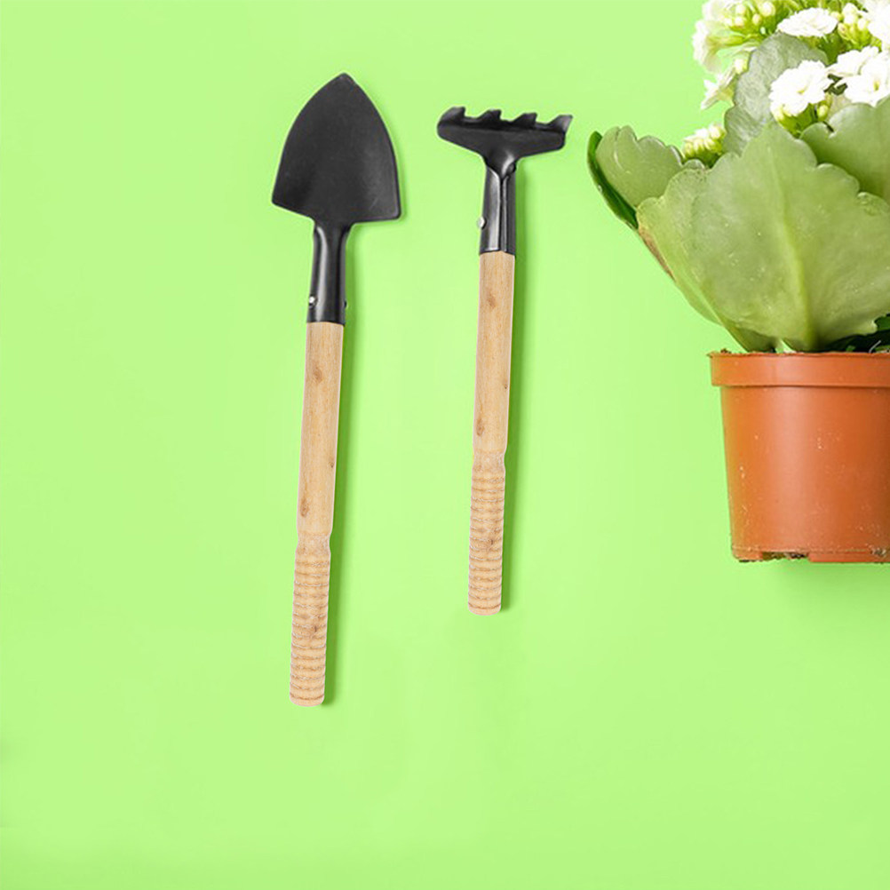 مجموعة من 5 قطع مقابض أدوات ال - مراجعة Gardening Tools Shovel وسعره