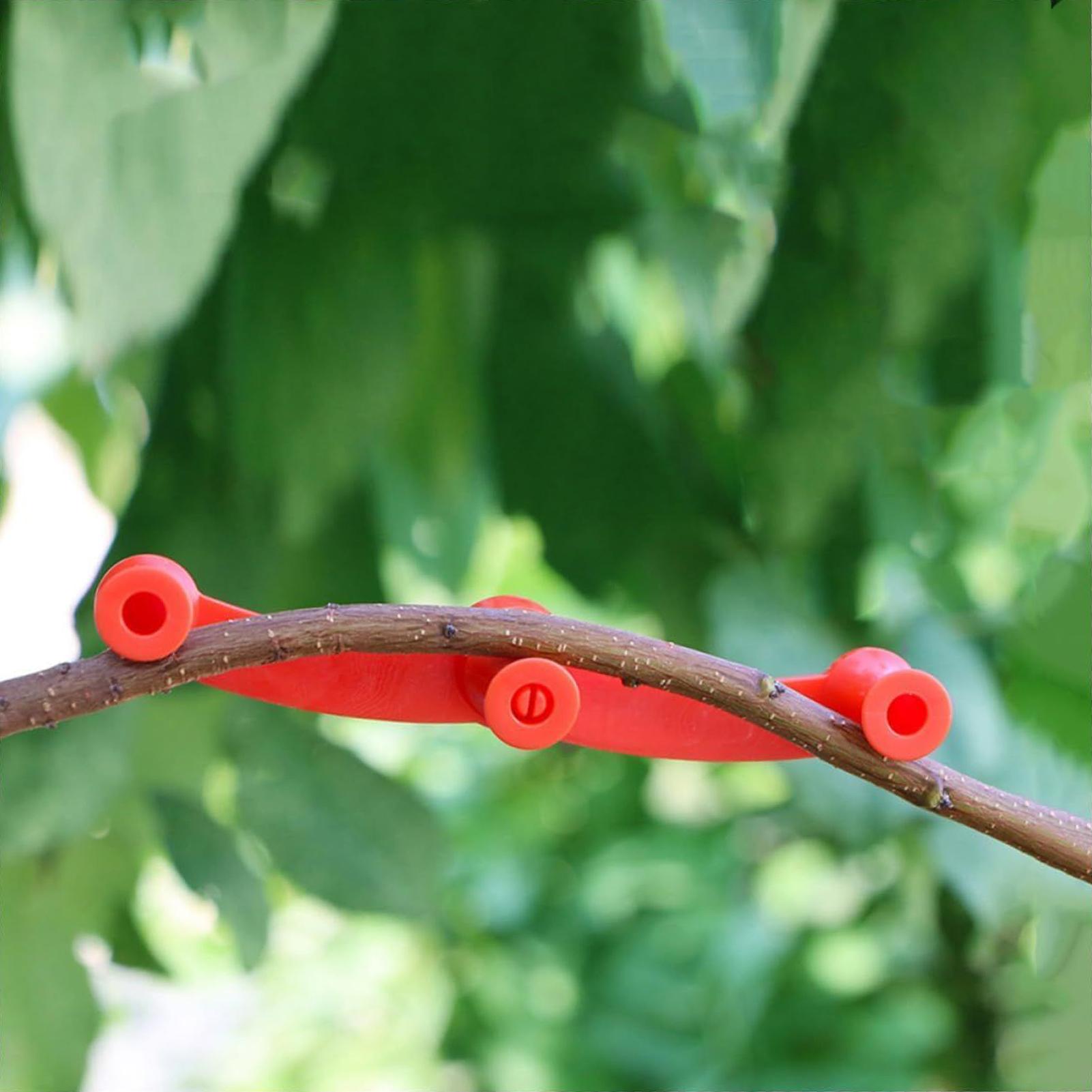 10 قطع مشابك تدريب النباتات، أ - مراجعة Gardening Tools Lowes وسعره